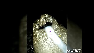 Trinidad indian cock