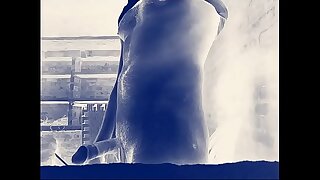 Big Indian cock