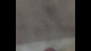 Indian dick cuming jisss